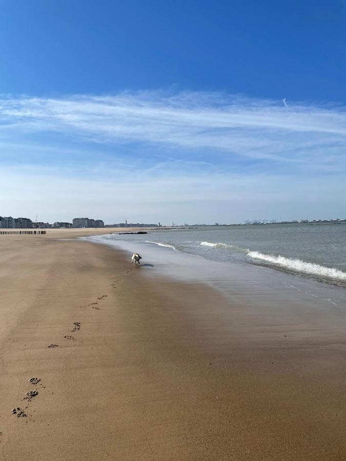 Hotel De Backer Knokke-Heist Luaran gambar